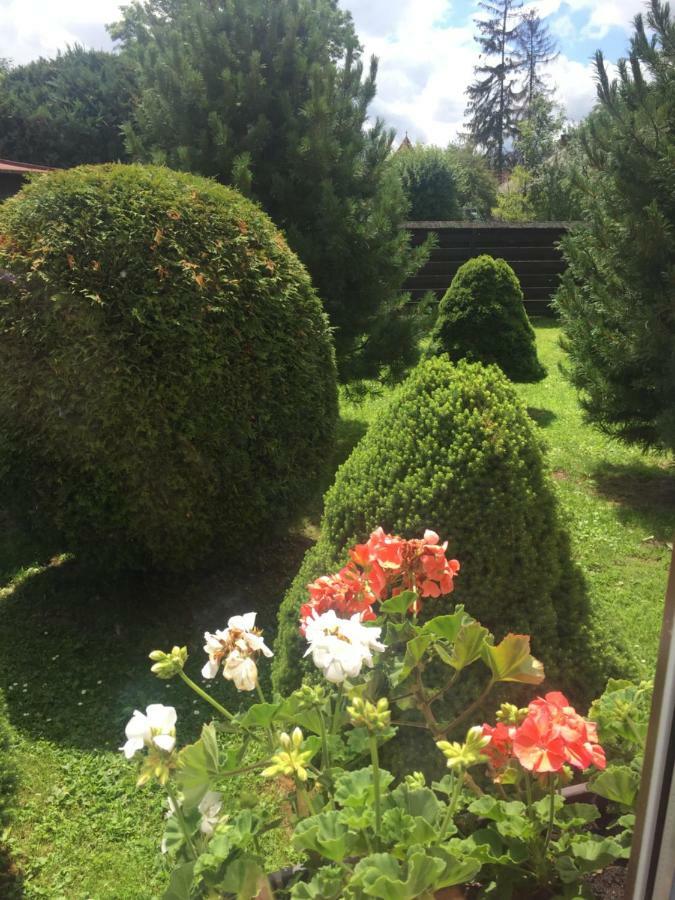 Vidiecky Dom Alexsandra - Ubytovanie V Sukromi Liptovska Ondrasova Bagian luar foto